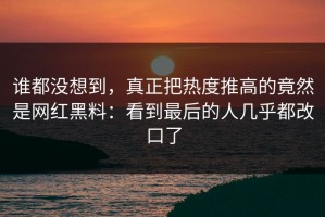 谁都没想到，真正把热度推高的竟然是网红黑料：看到最后的人几乎都改口了