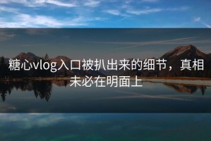 糖心vlog入口被扒出来的细节，真相未必在明面上