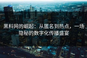 黑料网的崛起：从匿名到热点，一场隐秘的数字化传播盛宴