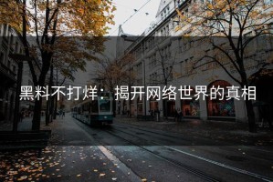 黑料不打烊：揭开网络世界的真相
