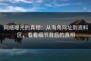 网络曝光的真相：从海角网址到资料区，看看细节背后的真相
