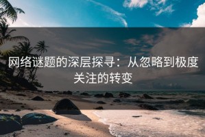 网络谜题的深层探寻：从忽略到极度关注的转变