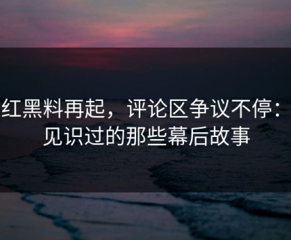 网红黑料再起，评论区争议不停：你见识过的那些幕后故事
