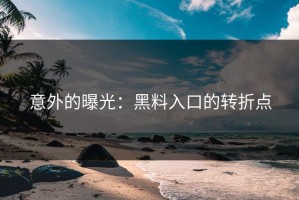 意外的曝光：黑料入口的转折点