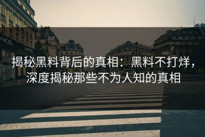 揭秘黑料背后的真相：黑料不打烊，深度揭秘那些不为人知的真相