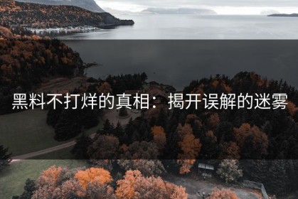 黑料不打烊的真相：揭开误解的迷雾