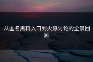 从匿名黑料入口到火爆讨论的全景回顾