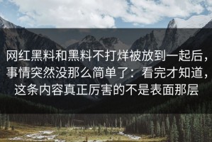 网红黑料和黑料不打烊被放到一起后，事情突然没那么简单了：看完才知道，这条内容真正厉害的不是表面那层