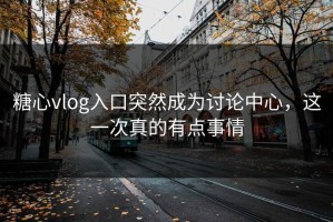 糖心vlog入口突然成为讨论中心，这一次真的有点事情