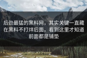 后劲最猛的黑料网，其实关键一直藏在黑料不打烊后面，看到这里才知道前面都是铺垫