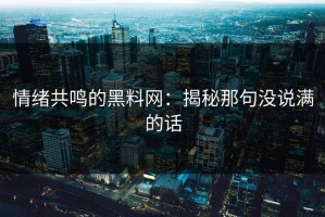 情绪共鸣的黑料网：揭秘那句没说满的话
