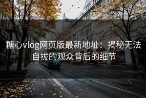糖心vlog网页版最新地址：揭秘无法自拔的观众背后的细节