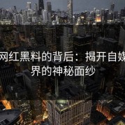 揭秘网红黑料的背后：揭开自媒体世界的神秘面纱