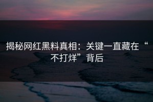 揭秘网红黑料真相：关键一直藏在“不打烊”背后