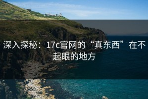 深入探秘：17c官网的“真东西”在不起眼的地方