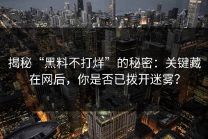 揭秘“黑料不打烊”的秘密：关键藏在网后，你是否已拨开迷雾？