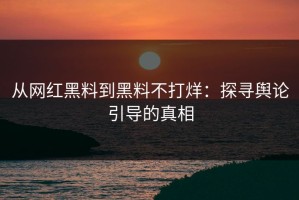 从网红黑料到黑料不打烊：探寻舆论引导的真相