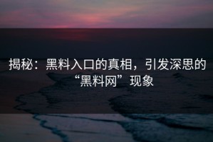 揭秘：黑料入口的真相，引发深思的“黑料网”现象