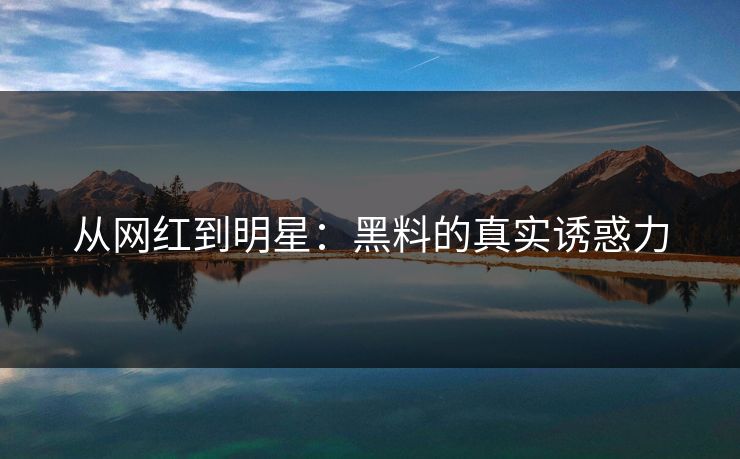 从网红到明星：黑料的真实诱惑力