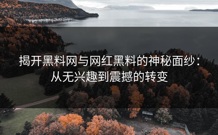 揭开黑料网与网红黑料的神秘面纱：从无兴趣到震撼的转变