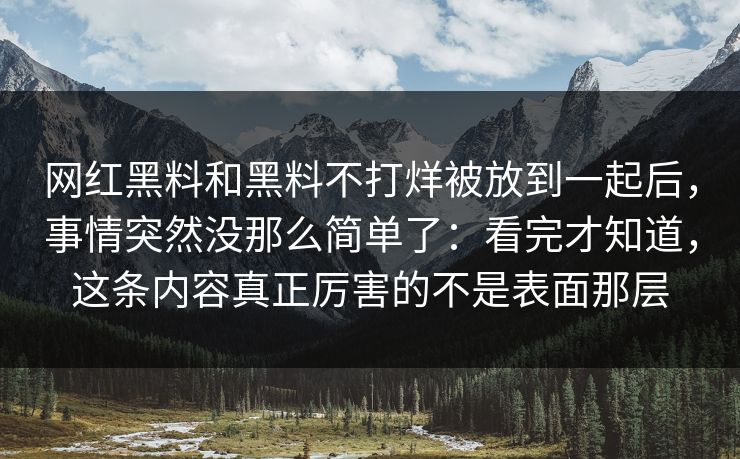 网红黑料和黑料不打烊被放到一起后，事情突然没那么简单了：看完才知道，这条内容真正厉害的不是表面那层