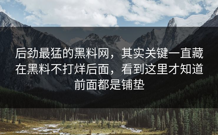 后劲最猛的黑料网，其实关键一直藏在黑料不打烊后面，看到这里才知道前面都是铺垫