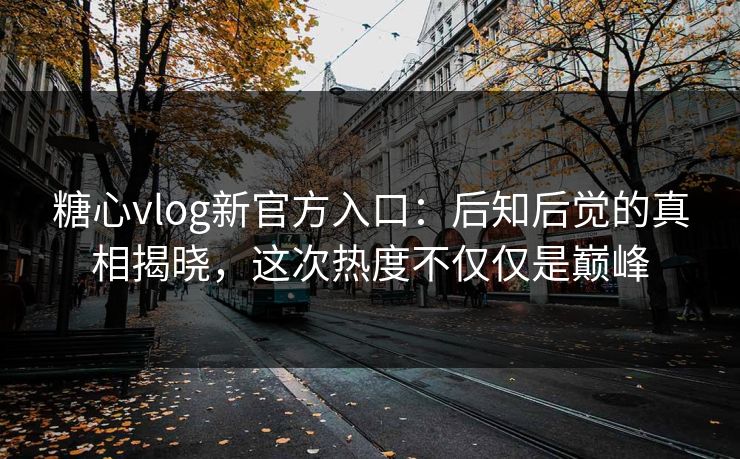 糖心vlog新官方入口：后知后觉的真相揭晓，这次热度不仅仅是巅峰