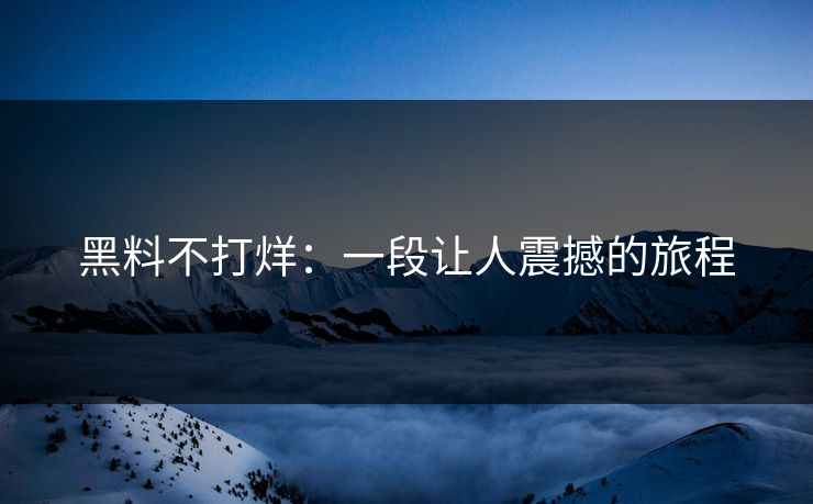 黑料不打烊：一段让人震撼的旅程