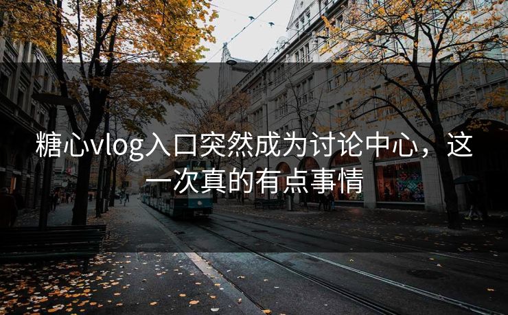 糖心vlog入口突然成为讨论中心，这一次真的有点事情