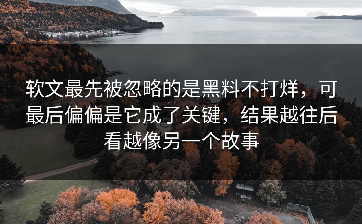 软文最先被忽略的是黑料不打烊，可最后偏偏是它成了关键，结果越往后看越像另一个故事