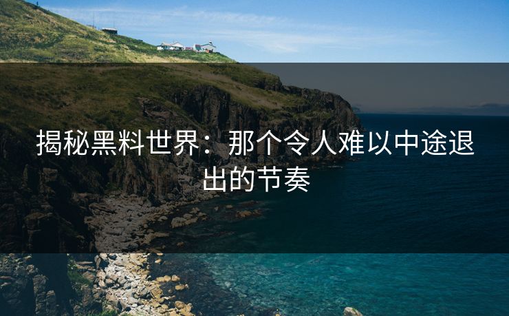 揭秘黑料世界：那个令人难以中途退出的节奏