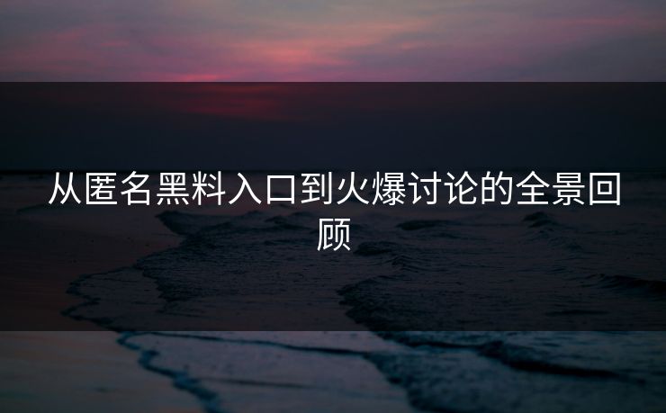 从匿名黑料入口到火爆讨论的全景回顾