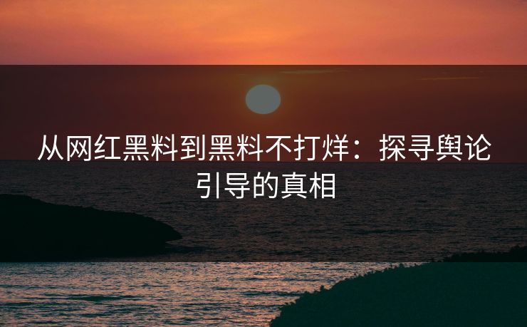 从网红黑料到黑料不打烊：探寻舆论引导的真相