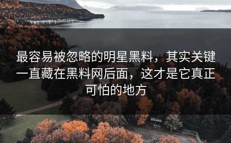最容易被忽略的明星黑料，其实关键一直藏在黑料网后面，这才是它真正可怕的地方