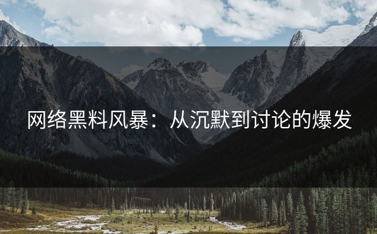 网络黑料风暴：从沉默到讨论的爆发