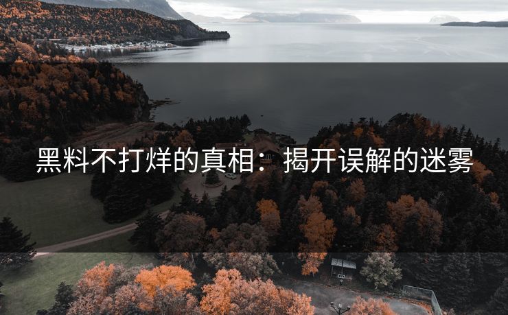 黑料不打烊的真相：揭开误解的迷雾