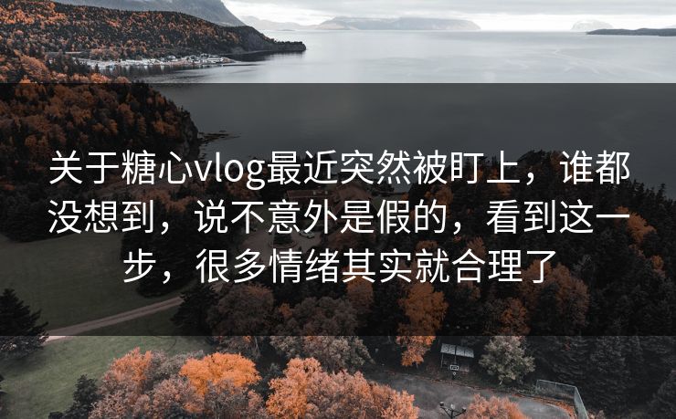 关于糖心vlog最近突然被盯上，谁都没想到，说不意外是假的，看到这一步，很多情绪其实就合理了