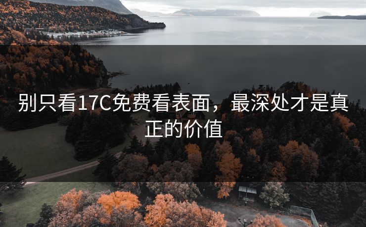 别只看17C免费看表面，最深处才是真正的价值