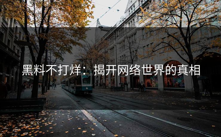 黑料不打烊：揭开网络世界的真相